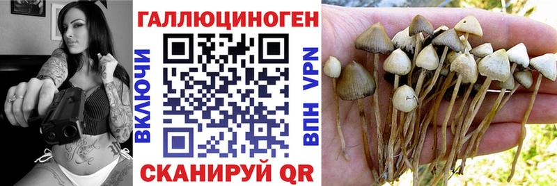 Галлюциногенные грибы Magic Shrooms гидра вход Елабуга